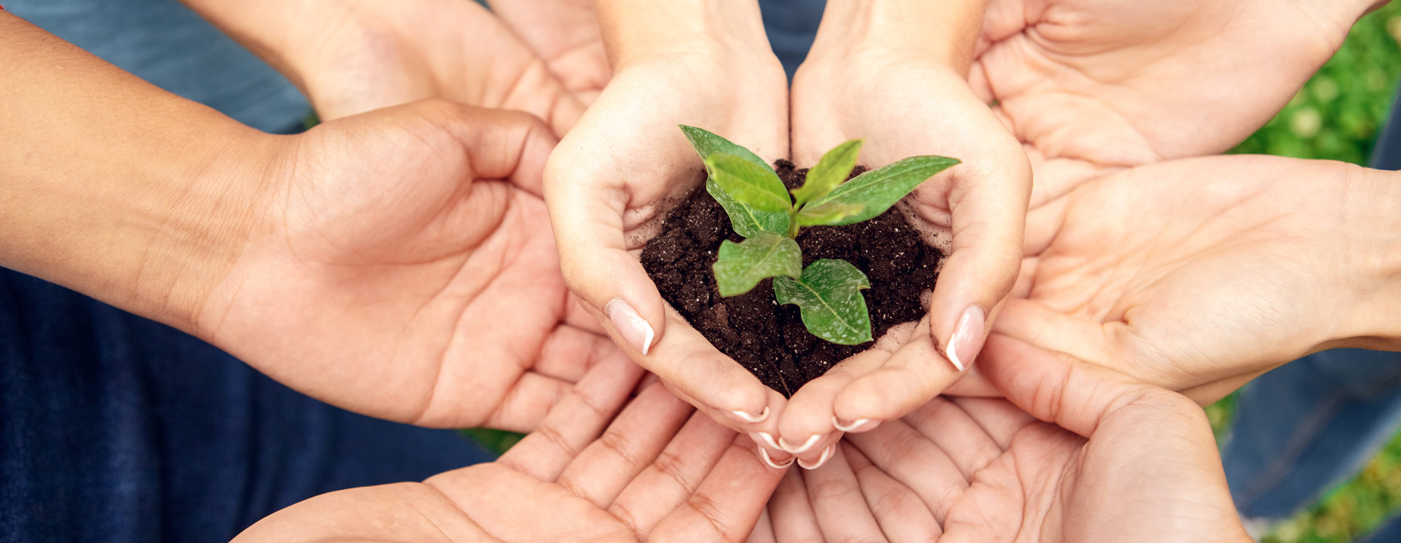 Heizungsmodernisierung